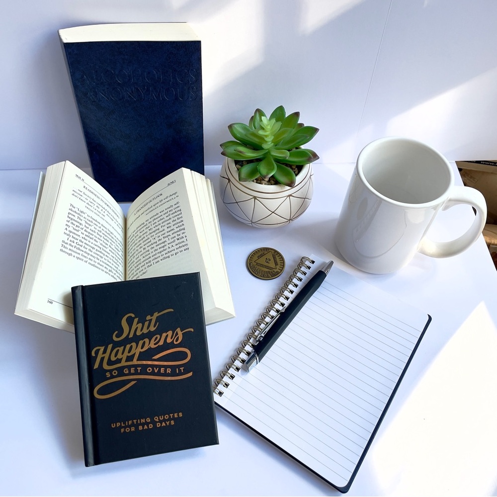 AA Gift Set ✦ Softcover Big Book + Daily Reflections + Shit Happens + REAL 12-Yr - Picture 2 of 9